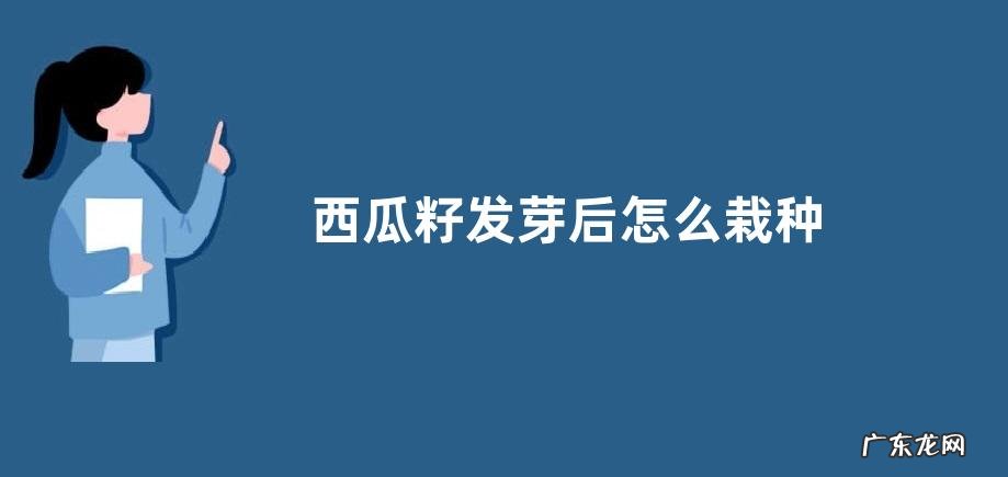 西瓜籽发芽后怎么栽种 西瓜种子催芽后播种方法