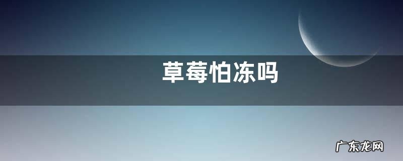 草莓怕冻吗
