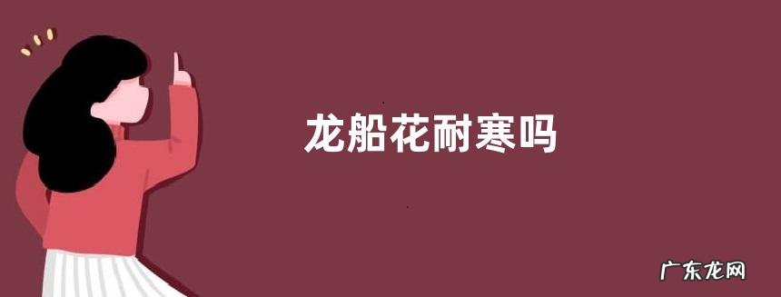 龙船花耐寒吗
