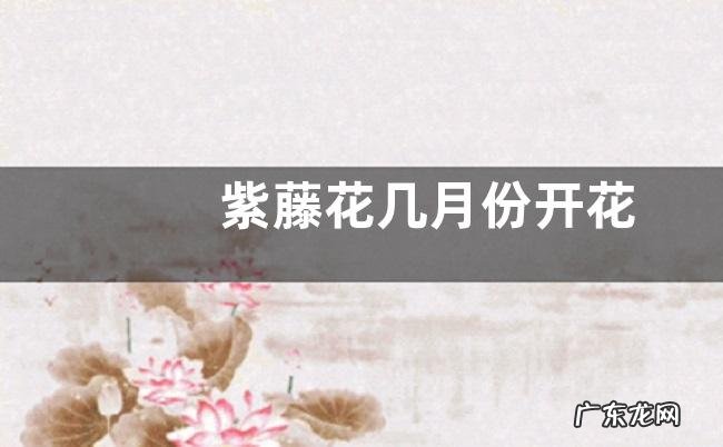 紫藤花几月份开花