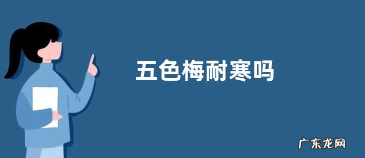 五色梅耐寒吗