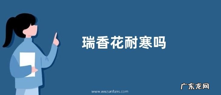 瑞香花耐寒吗
