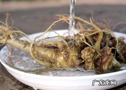 三七是什么味道的