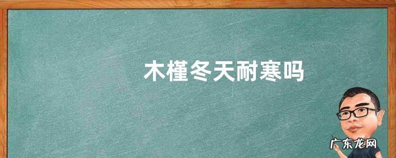 木槿冬天耐寒吗