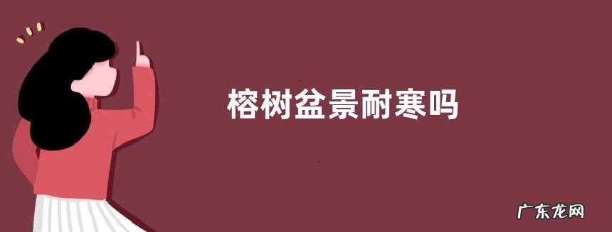 榕树盆景耐寒吗