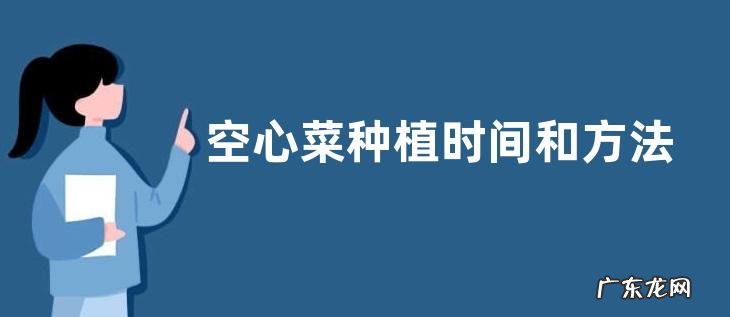 空心菜种植时间和方法