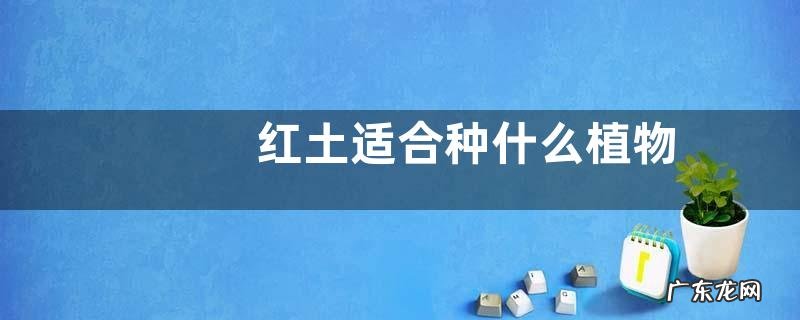 红土适合种什么植物