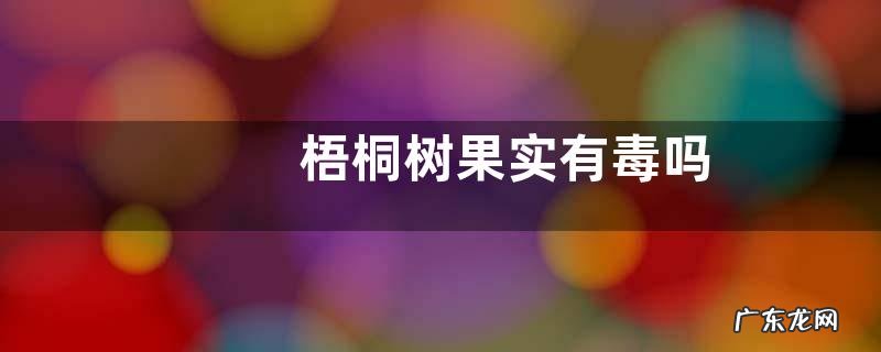 梧桐树果实有毒吗