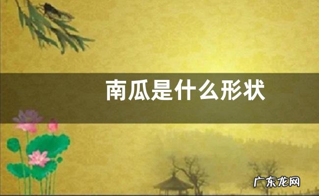 南瓜是什么形状