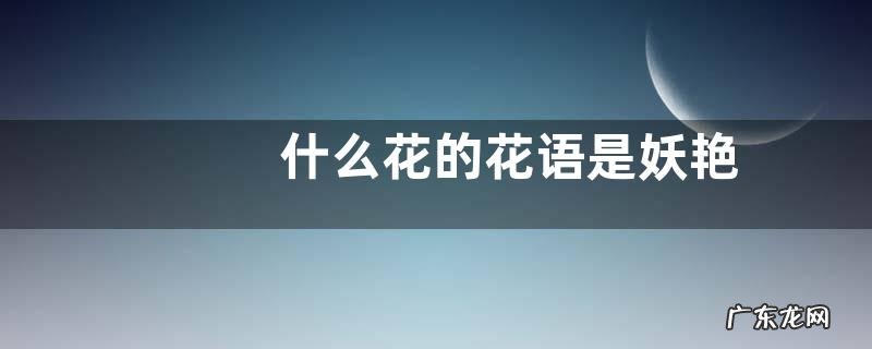 什么花的花语是妖艳