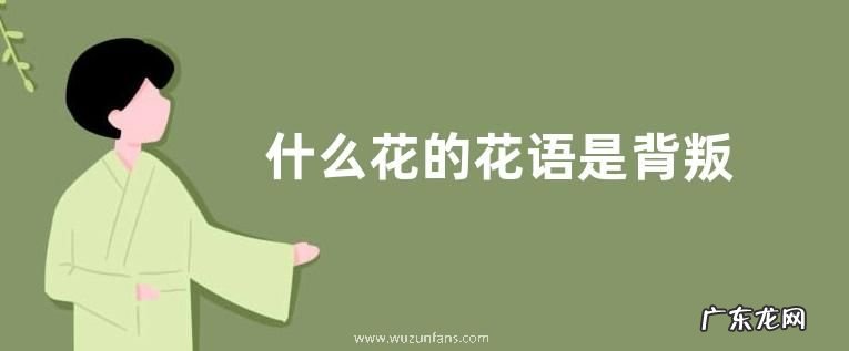 什么花的花语是背叛