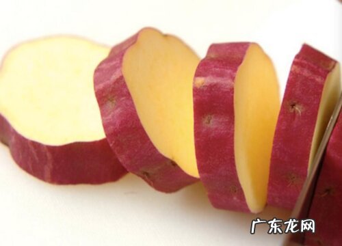 地瓜有多少品种