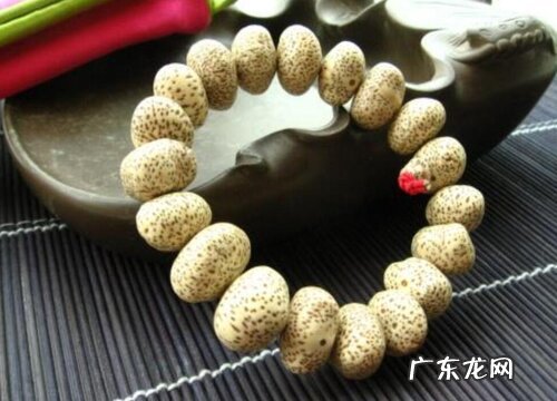 菩提子有多少品种