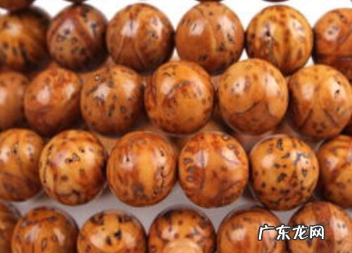 菩提子有多少品种