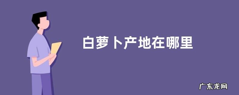 白萝卜产地在哪里