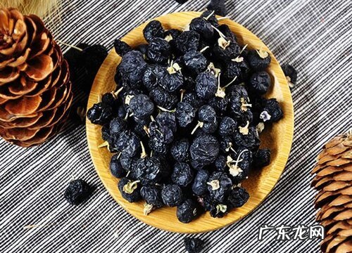 黑枸杞是什么植物