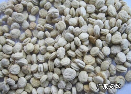 人参的种子是什么样子