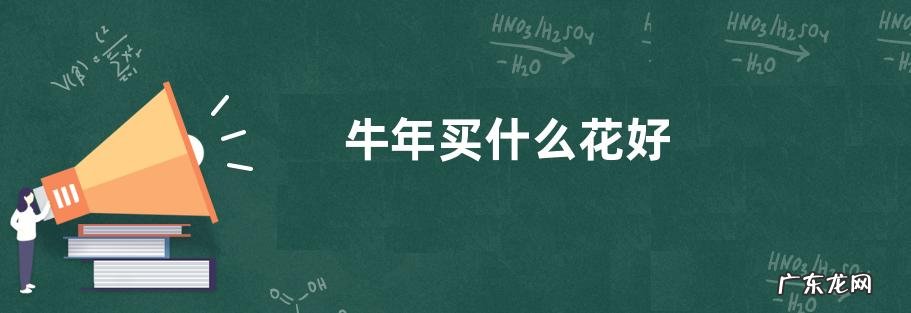 牛年买什么花好