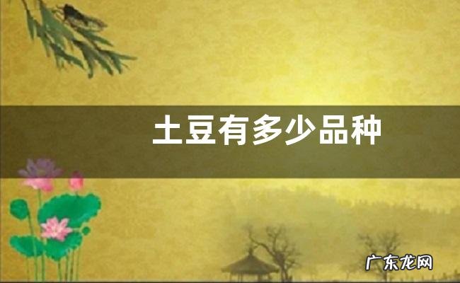 土豆有多少品种
