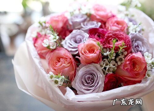 玫瑰有多少品种