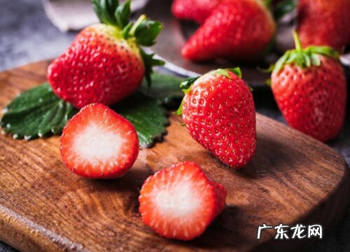 草莓有多少品种