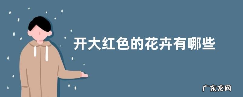 开大红色的花卉有哪些