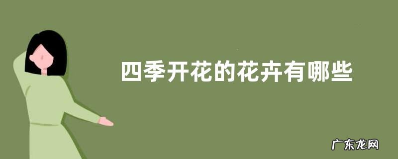 四季开花的花卉有哪些