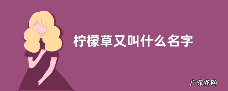 柠檬草又叫什么名字