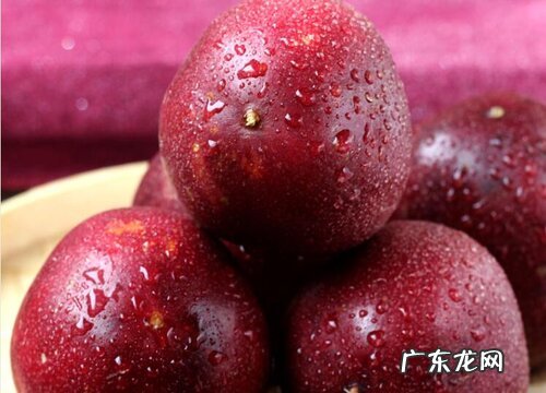 百香果什么时候开花结果