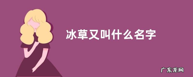 冰草又叫什么名字