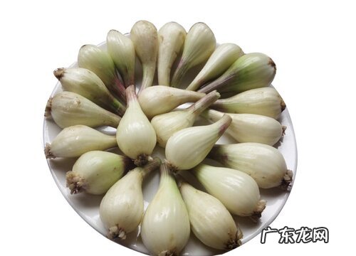 藠头是什么季节的菜