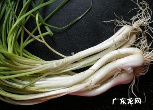 藠头是什么季节的菜