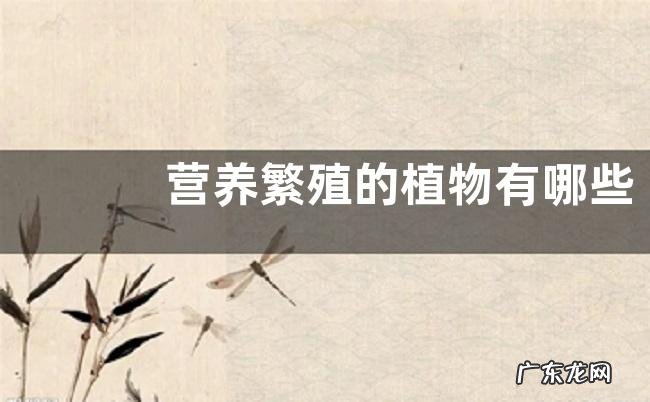 营养繁殖的植物有哪些