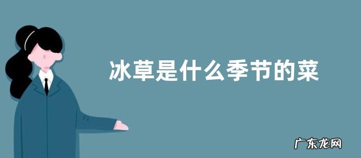 冰草是什么季节的菜