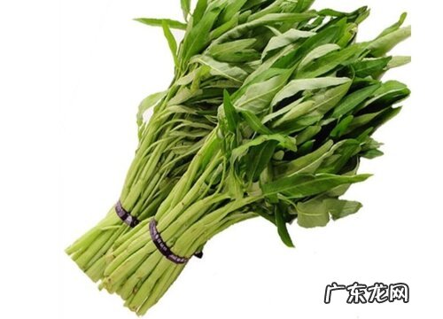 通菜是什么季节的菜