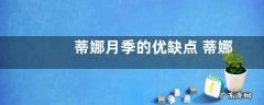 蒂娜月季的优缺点 蒂娜生长特点与养殖方法