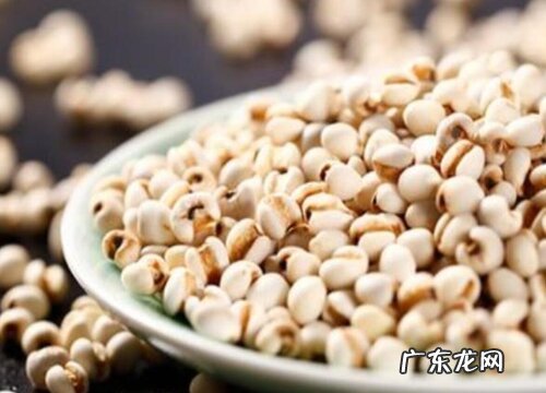 薏米和草珠是一种植物吗