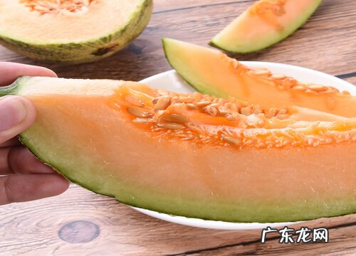 哈密瓜果肉是什么颜色