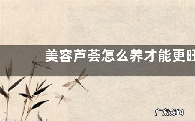 美容芦荟怎么养才能更旺盛