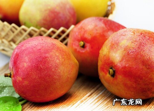 吉禄芒怎么看熟没熟