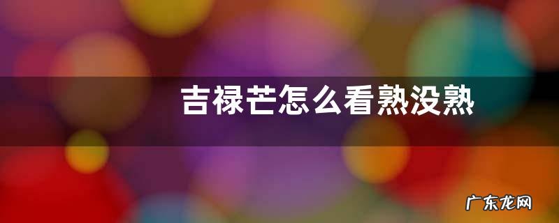 吉禄芒怎么看熟没熟