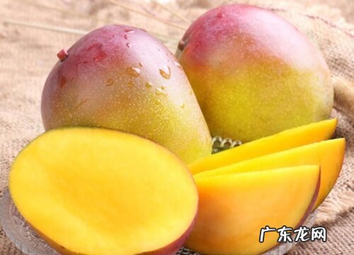 吉禄芒怎么看熟没熟