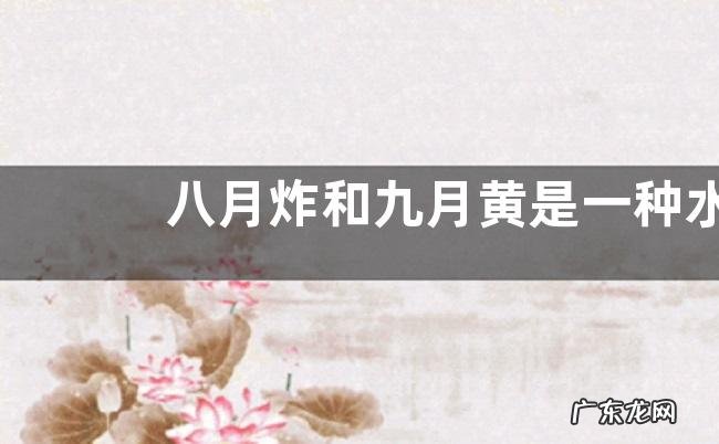 八月炸和九月黄是一种水果吗