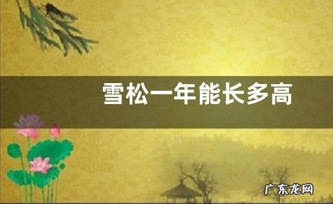 雪松一年能长多高