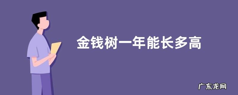 金钱树一年能长多高