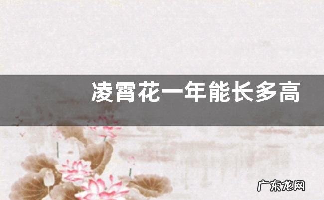 凌霄花一年能长多高