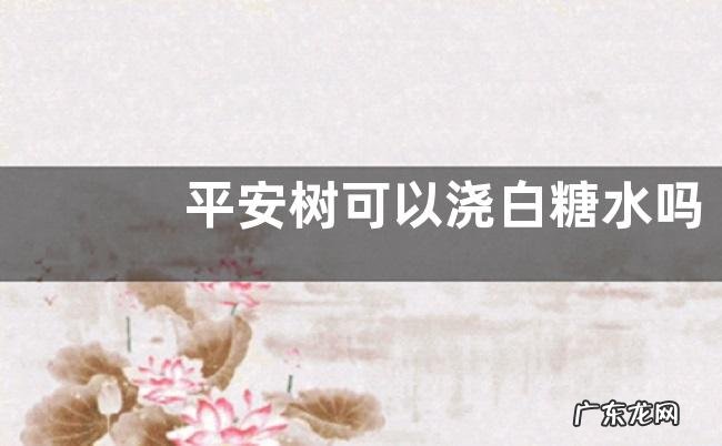 平安树可以浇白糖水吗