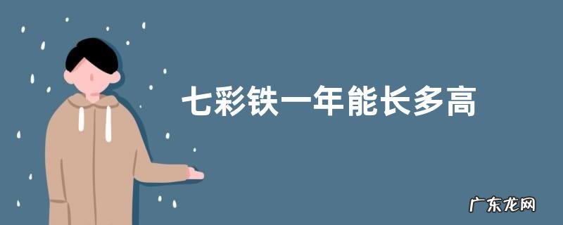 七彩铁一年能长多高