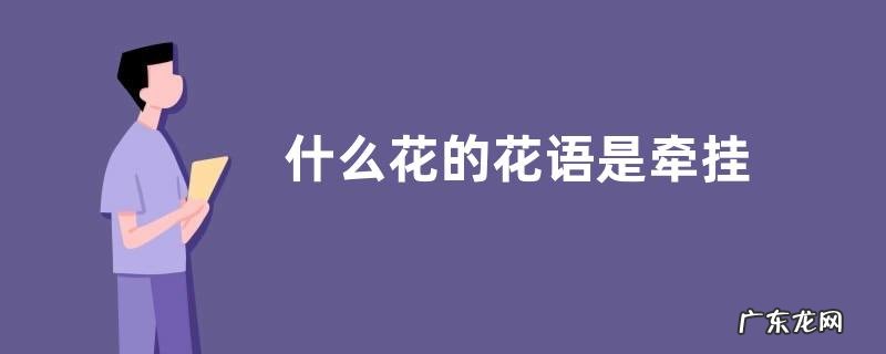 什么花的花语是牵挂