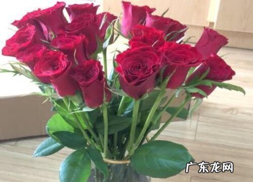 什么花的花语是牵挂